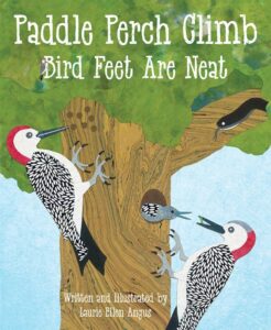 Cover art for Paddle Perch Climb: Bird Feet Are Neat, Written and illustrated by Laurie Ellen Angus (Dawn Publications)