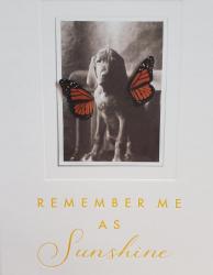 Cover art for Remember Me as Sunshine by Jacqueline Lemieux-Bokor (Self-Published)