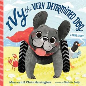 Cover art for Ivy the Very Determined Dog, by Chris & Maureen Harrington; illustrated by Charlotte Bruijn (Bromfield Press)