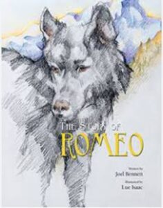 The Story of Romeo by Joel Bennett Daytime Star Books